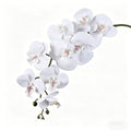 41.34" 9-Headed Artificial Phalaenopsis Orchid, Realistic Faux Orchid for Home Wedding Decor